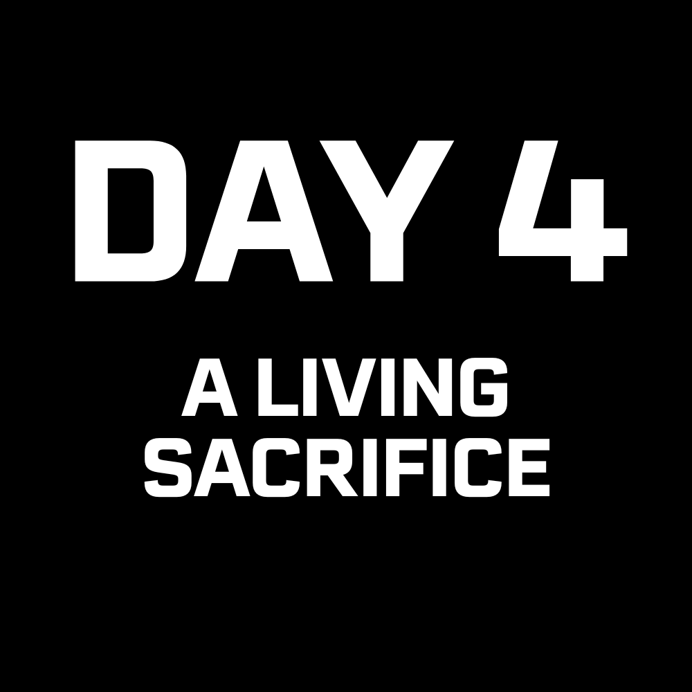 DAY 4