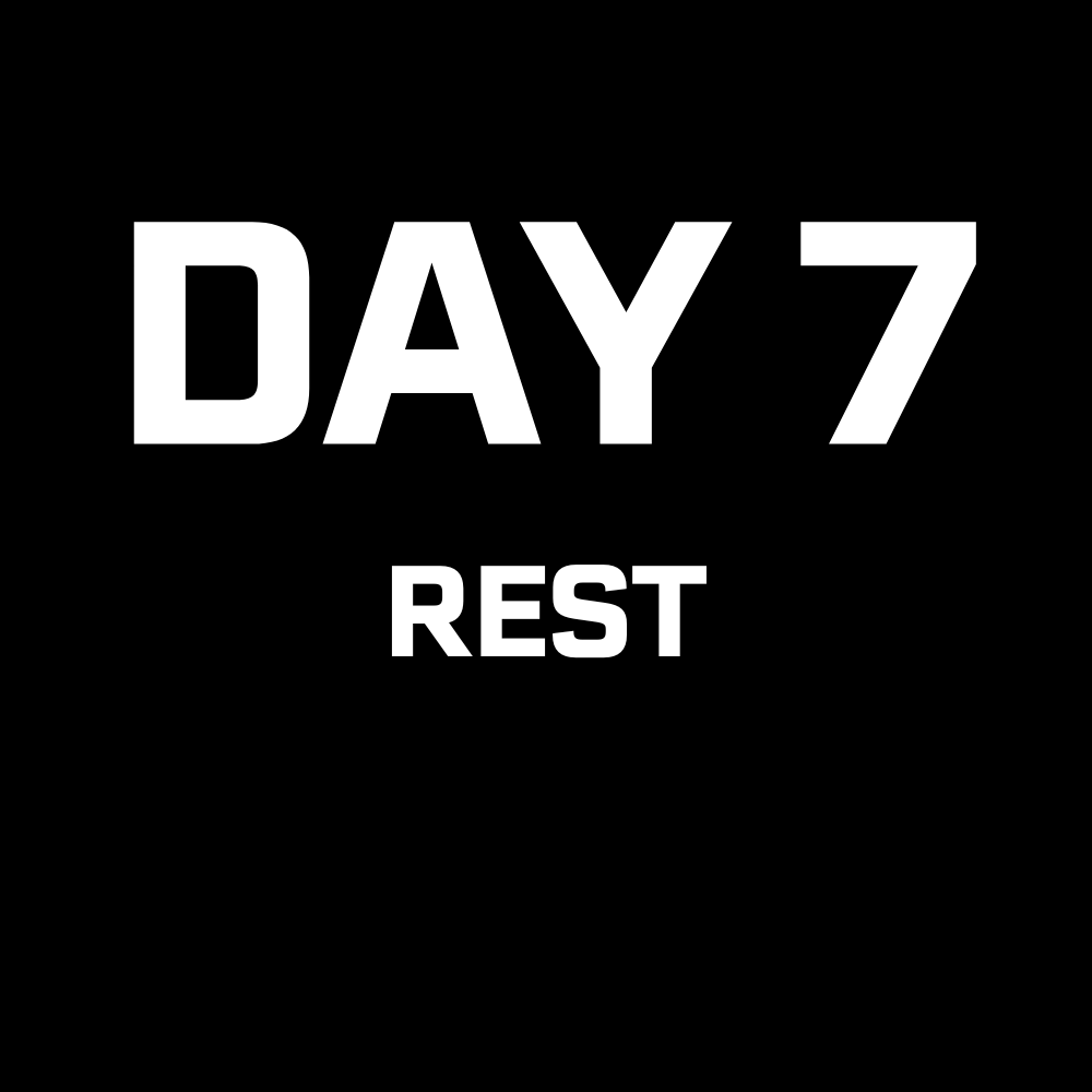 DAY 7